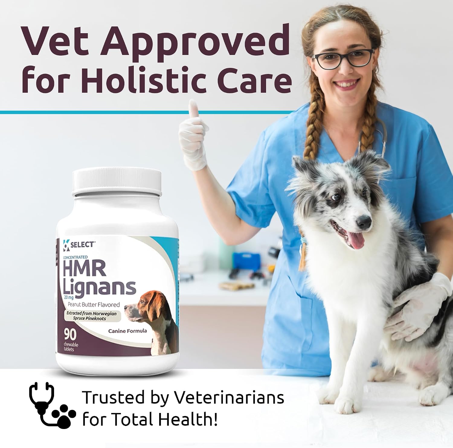 K9 Select HMR Lignans for Dogs – 20mg Norway Spruce Extract, 90 Tablets (Peanut Butter) - görsel 5