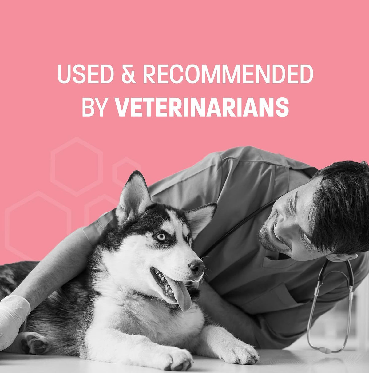 Pet Health Pros Probiotic Oral Paste for Dogs & Cats (30 cc) - görsel 6