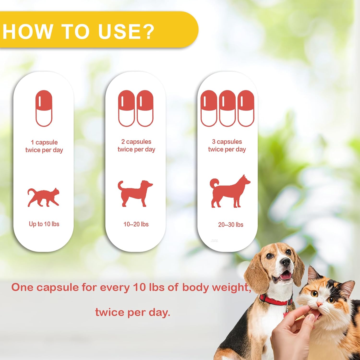 Immune Defence Supplement for Dogs & Cats – Natural Immune Support - görsel 4