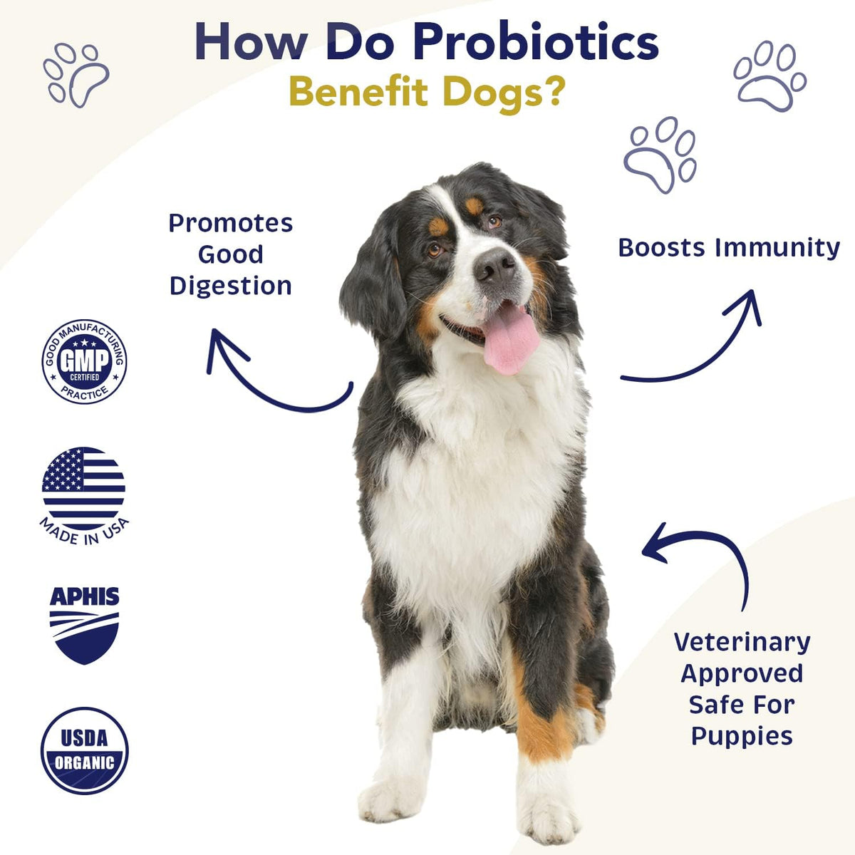 Probiotics for Dogs Digestive Health (Chicken & Bacon) - Probiotic Powder for Dogs - görsel 4