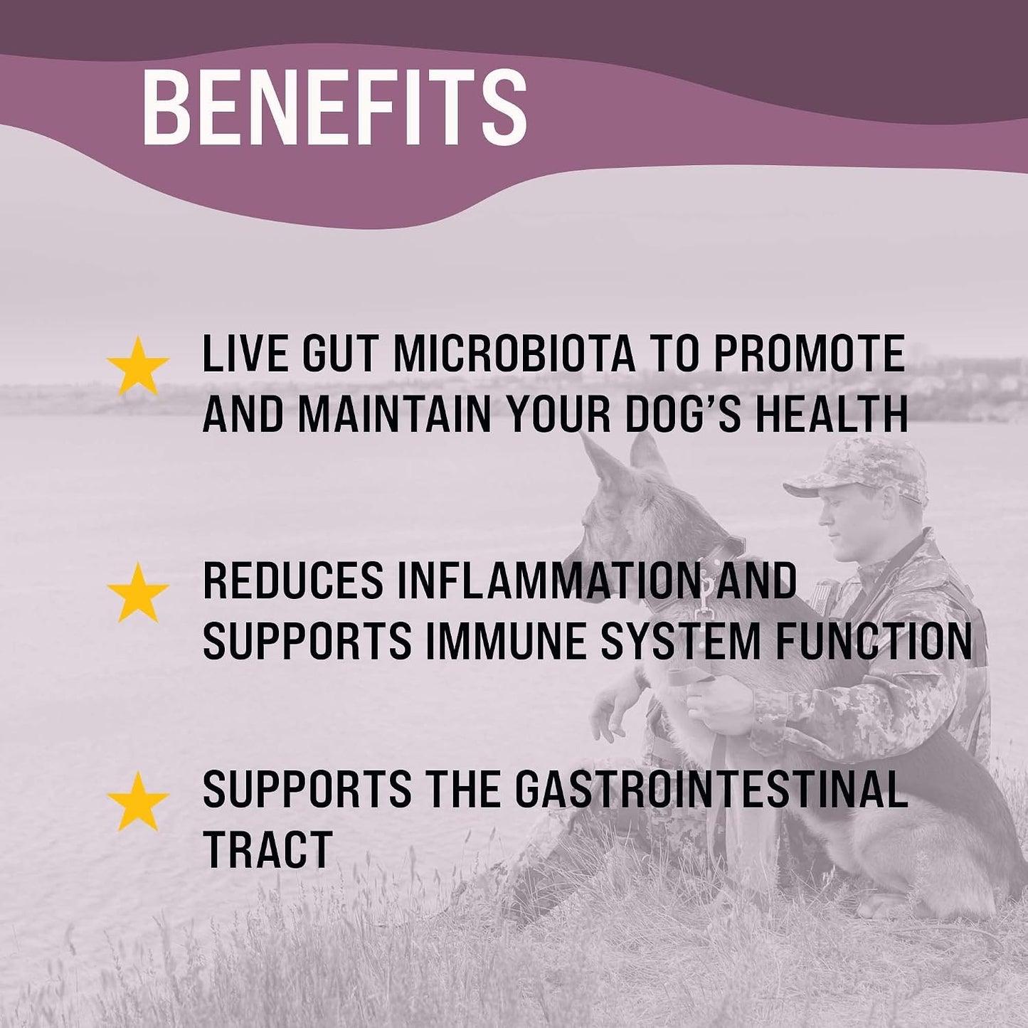 FloraPup Probiotic & Digestive Support for Dogs – Promotes & Maintains Gut Health, Supports Normal Immune Function - görsel 4