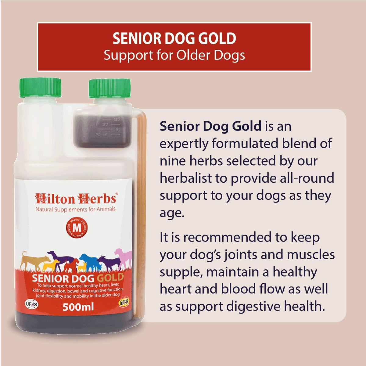 Hilton Herbs Canine Veteran Gold – 16 oz - görsel 2
