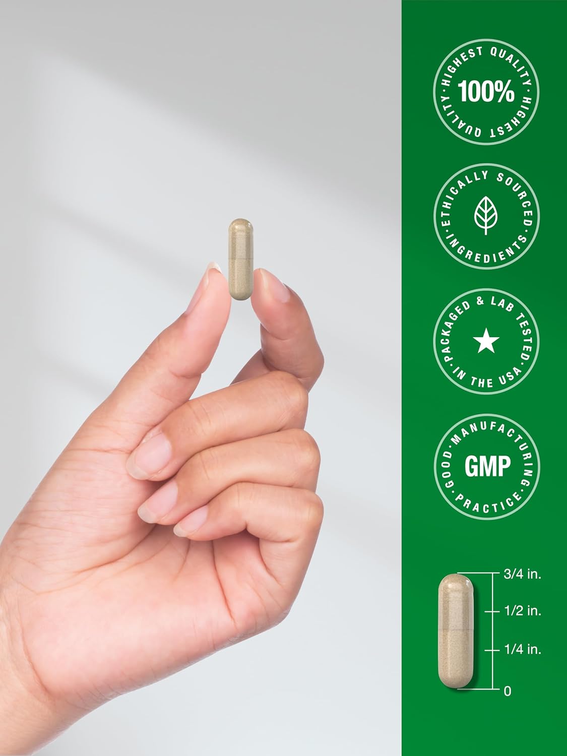Horbaach Skullcap Herb Extract - 200 Capsules - görsel 7