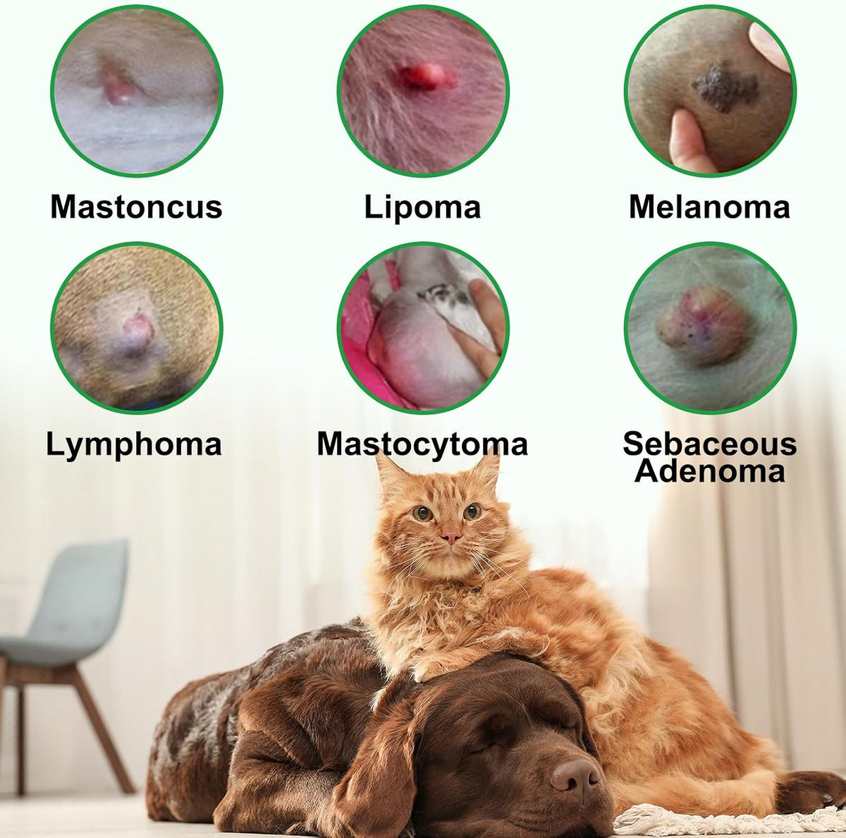 Lipoma Treatment Targets Guard for Dogs and – Supports skin softness: Consistent application may help soften fatty – Image 6