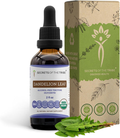 Secrets of the Tribe Dandelion Leaf Certified Organic | Alcohol-Free Extract, High-Potency Herbal Drops