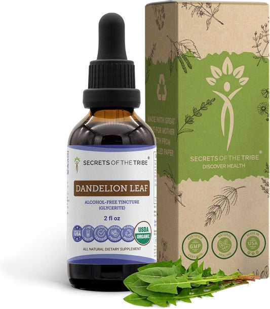 Secrets of the Tribe Dandelion Leaf Certified Organic | Alcohol-Free Extract, High-Potency Herbal Drops