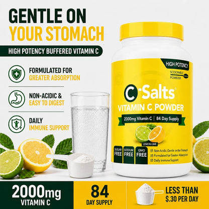 C-Salts Buffered Vitamin C Powder | Pure Organic, Stomach-Friendly Ascorbic Acid | Vegan, Non-GMO, Sugar Free | 84 Servings Lemon & Lime, 227 g