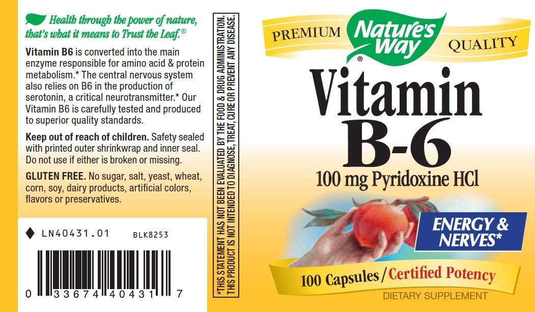 B-6 100mg 100 Capsules (Pack of 2) - görsel 2