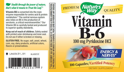 B-6 100mg 100 Capsules (Pack of 2)