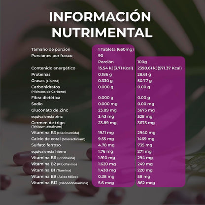 Vidanat Complex B 90 Capsules – Essential B Vitamins for Energy, Nervous System & Immune Health
