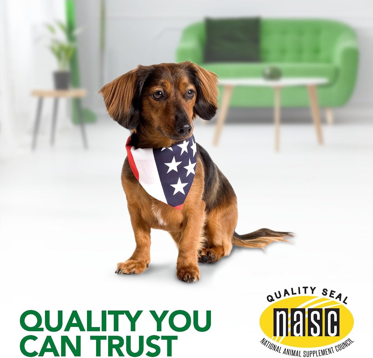 Vet's Best Dog Allergy Chews, Seasonal Allergy Chews for Dogs, 60 Chewable Tablets - görsel 5