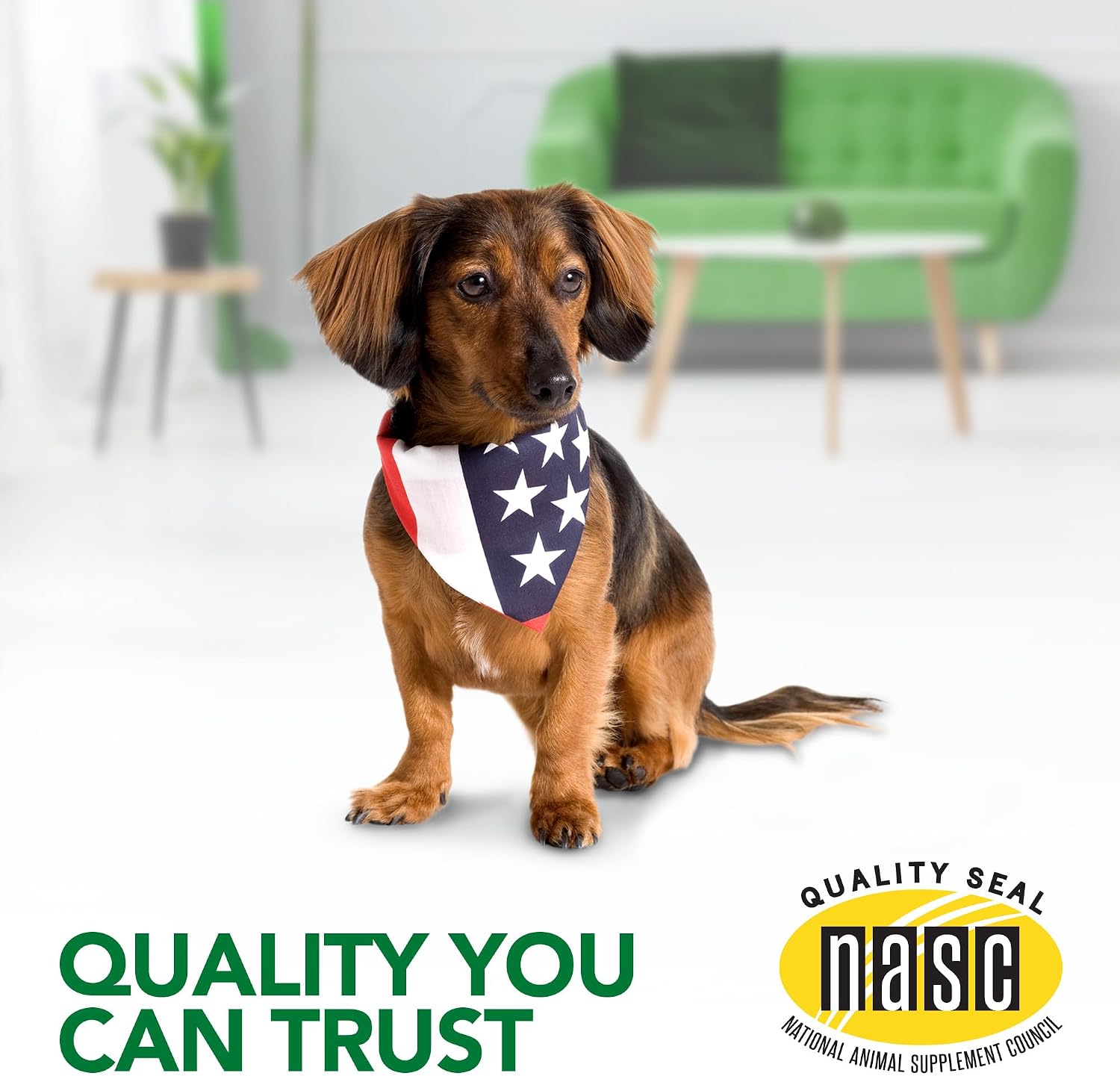 Vet's Best Dog Allergy Chews, Seasonal Allergy Chews for Dogs, 60 Chewable Tablets - görsel 5