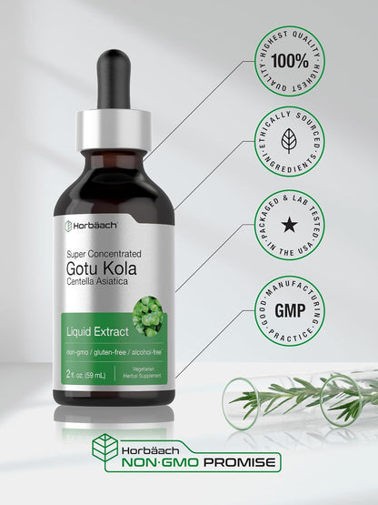 Horbäach Gotu Kola Extract - Alcohol Free Liquid Supplement, 60 ml