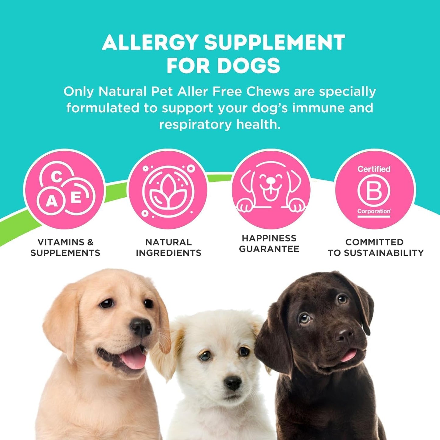 Only Natural Pet AllerFree Advanced Allergy Support for Dogs, 60 Count (Pack of 2) - görsel 2