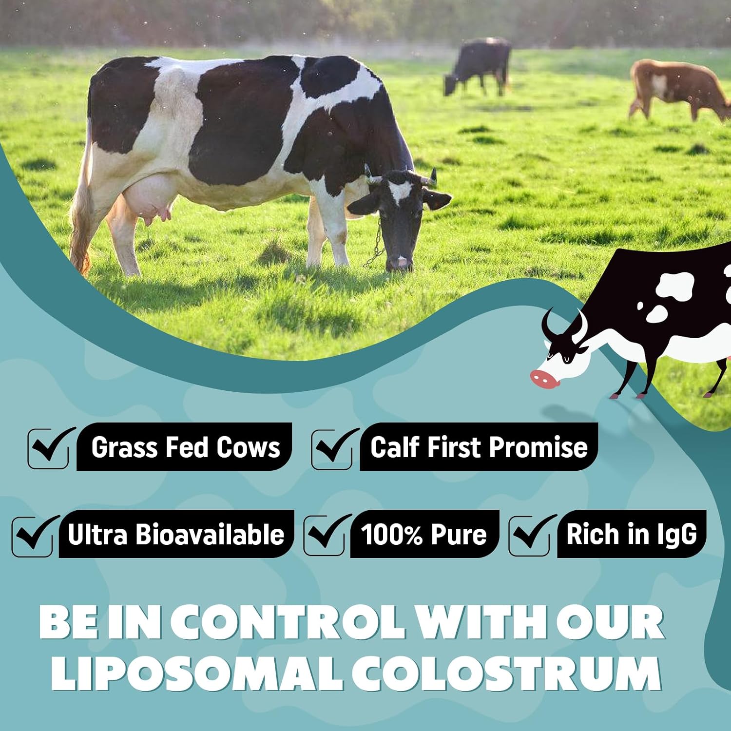 Marafiki Liposomal Bovine Colostrum Supplement - Grass Fed Colostrum Powder, High Bioavailability, 60 Servings - görsel 5