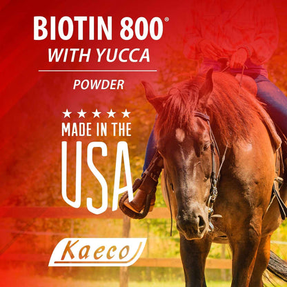 Biotin 800 Powder by Kaeco
