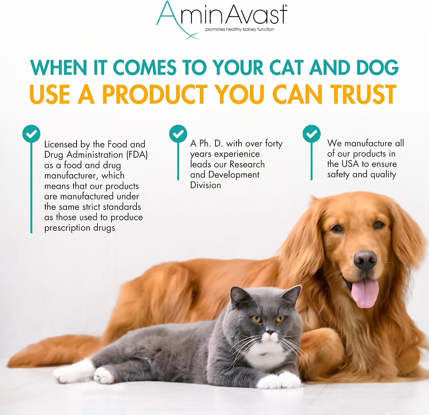 AminAvast Dog Kidney Supplement - Supports Natural Kidney Function - Promotes Health & Vitality of Ageing Kidneys - Pet-Friendly, 1000mg, 60 Capsules - görsel 6