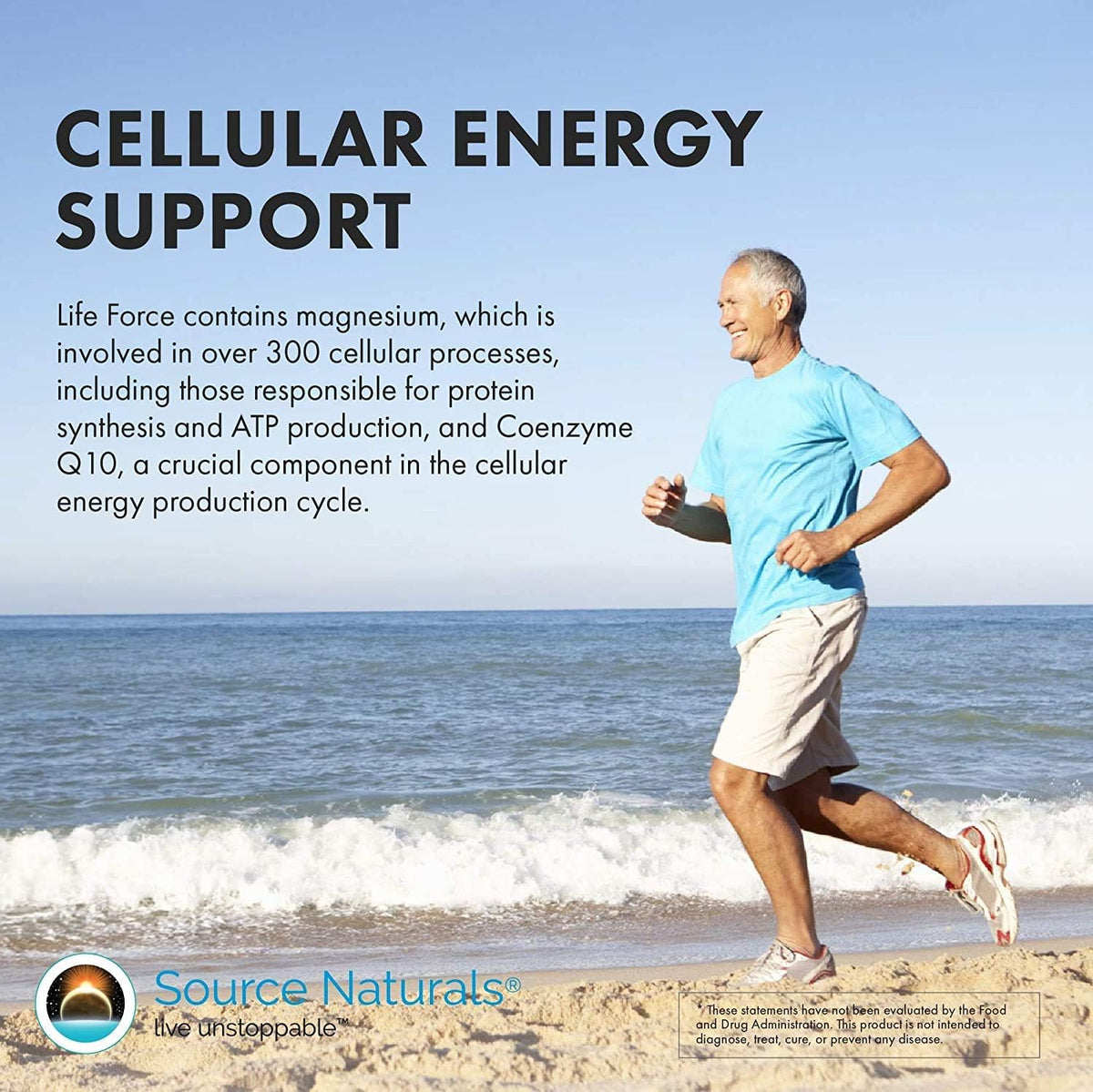 Source Naturals Life Force Multiple Daily Multivitamin – High-Strength Essential Vitamins & Minerals – 30 Tablets - görsel 5