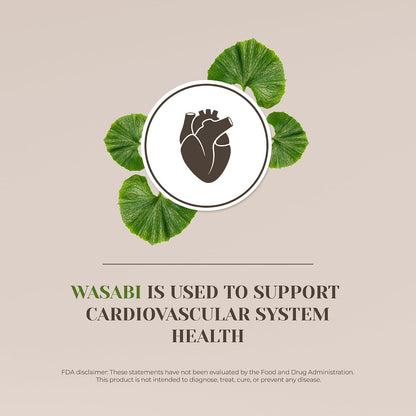 Wasabi Alcohol-Free Natural Tincture Extract, Herbal Supplement, Liquid Drops Made from 100% Wasabi (Eutrema japonicum) Dried Root (60 ml)