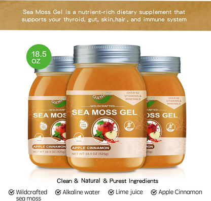 QANLOI Seamoss Raw Gel with Irish Sea Moss – Apple Cinnamon (525 g)