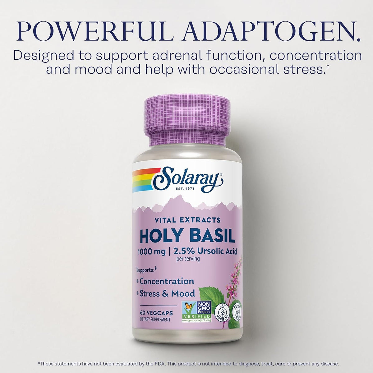 SOLARAY Holy Basil 1000 mg – Adaptogenic Tulsi Supplement with Ursolic Acid - görsel 3