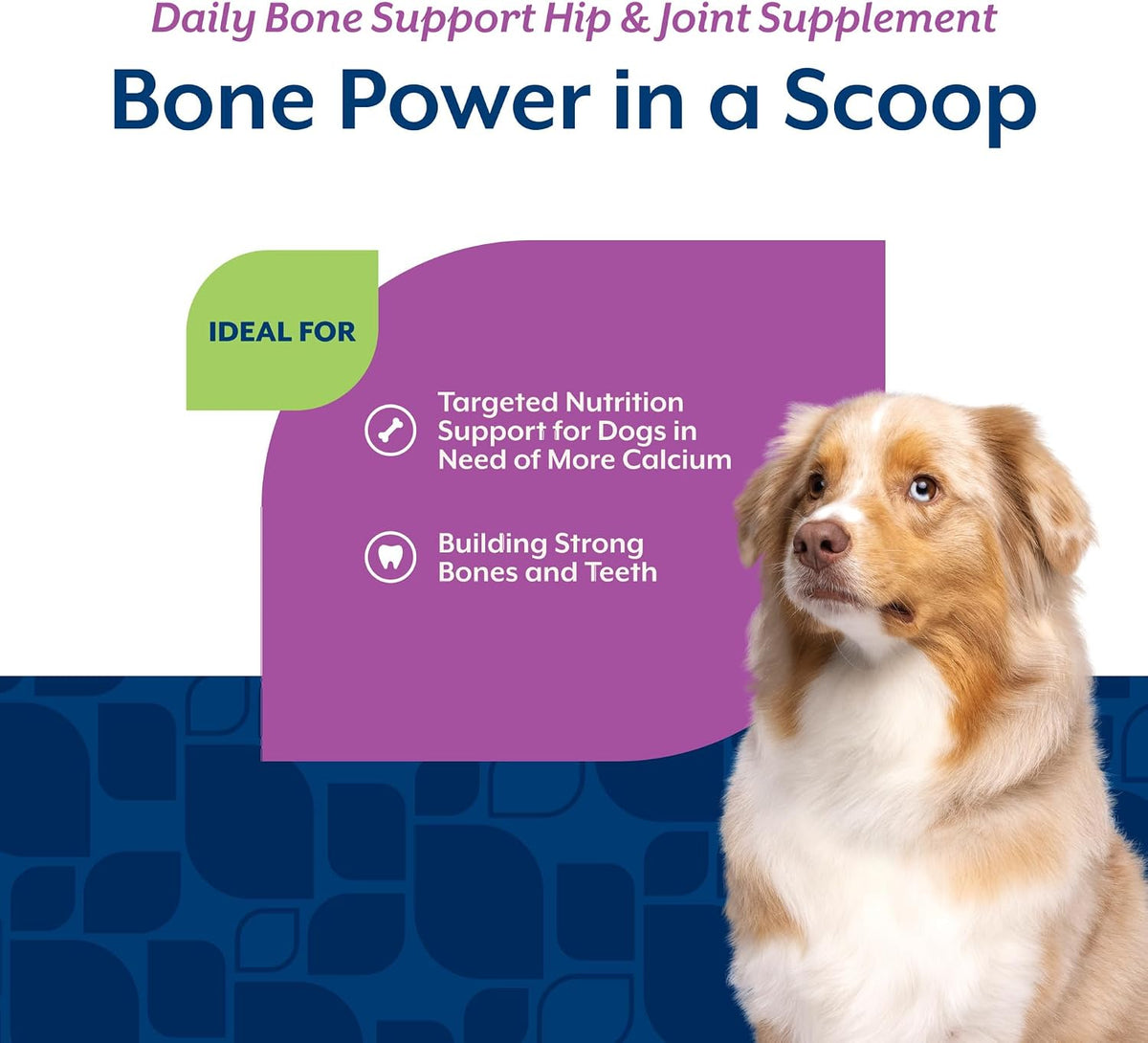 NaturVet Calcium-Phosphorus for Dogs – Supports Strong & Healthy Bones – Enhanced with Essential Minerals & Vitamin D – 454 g Powder - görsel 4