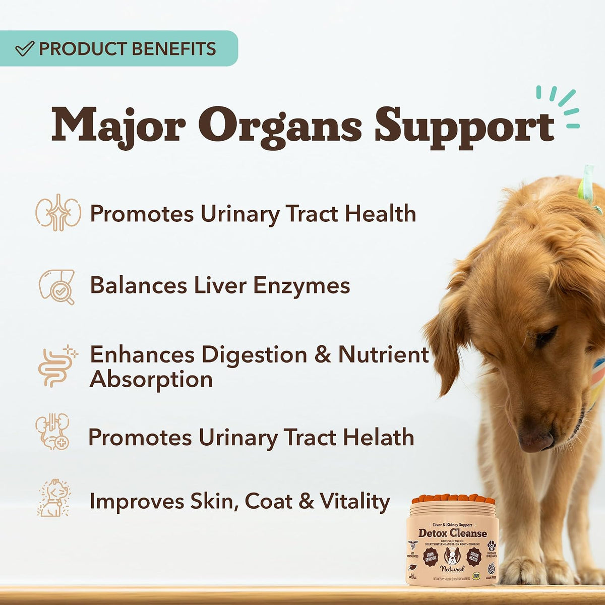 Natural Dog Company Liver & Kidney Supplement for Dogs, 90 Soft Chews - görsel 2