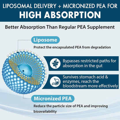 Ulmubra Liposomal Palmitoylethanolamide 1300 mg Plus Luteolin 100 mg - 60 Softgels