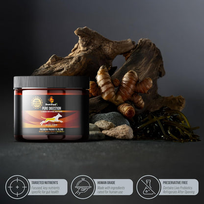 Best Paw Nutrition Probiotics for Dogs – Digestive Enzymes & Probiotics Powder