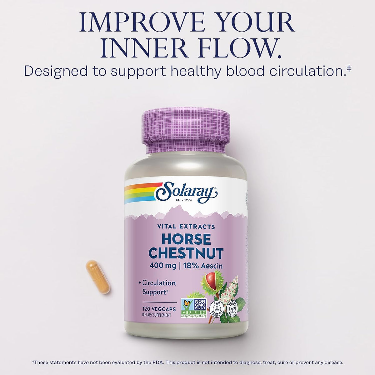 SOLARAY Horse Chestnut Extract 400 mg - Standardised to 72 mg Aescin with Butcher's Broom - Vein & Circulation Support - Vegan, Non-GMO - 120 Vegetarian Capsules - görsel 3