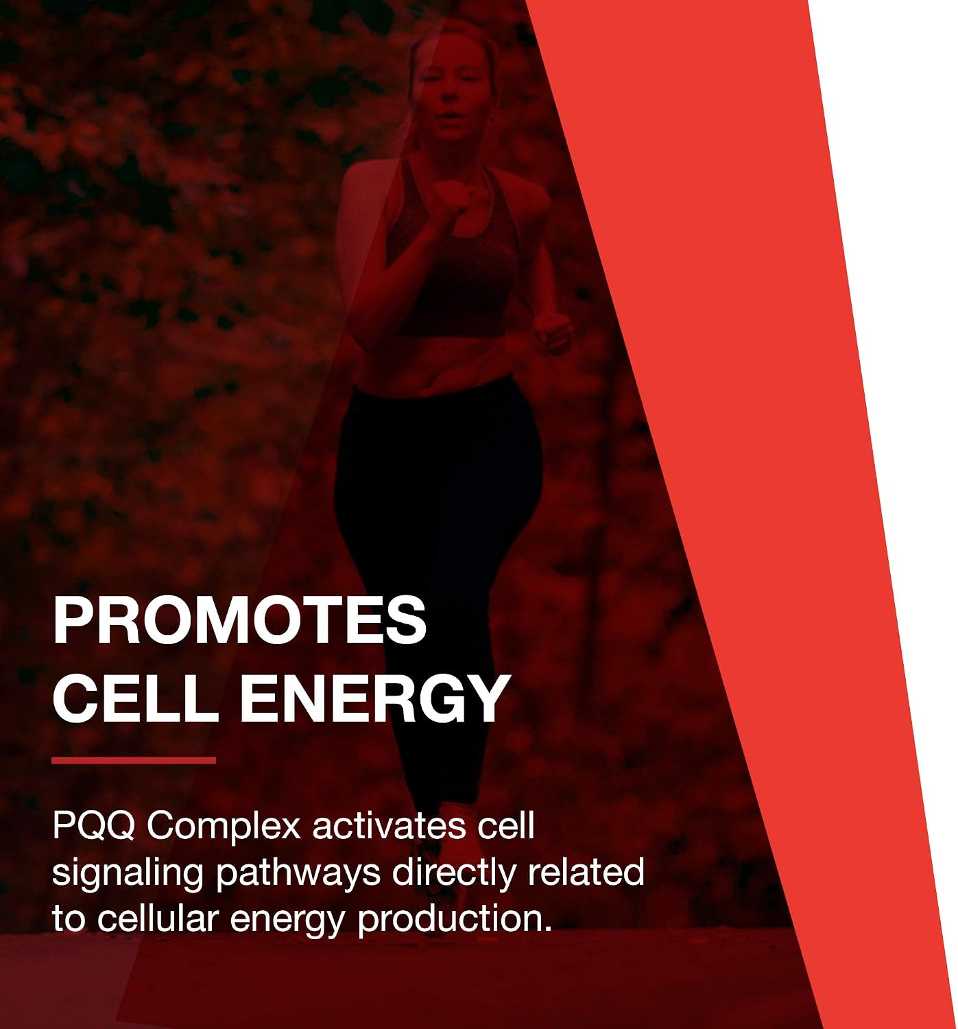 PROTOCOL FOR LIFE BALANCE PQQ Complex – Mitochondrial Health – with CoQ10 & L-Carnitine – B Vitamin – Supplement for Energy – 30 Veg Caps - görsel 8