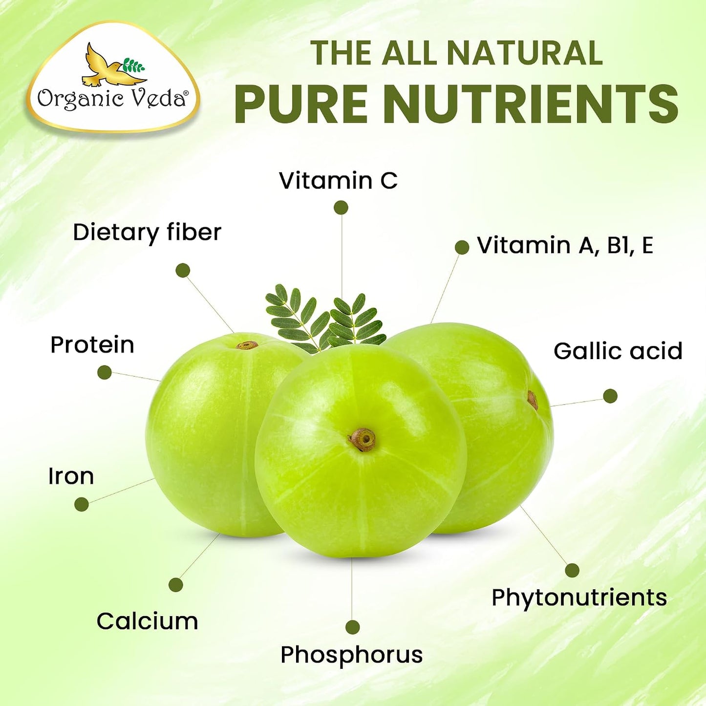 Organic Veda Amla Capsules - 1500mg, 300 Capsules - Natural Vitamin C Supplement - görsel 3