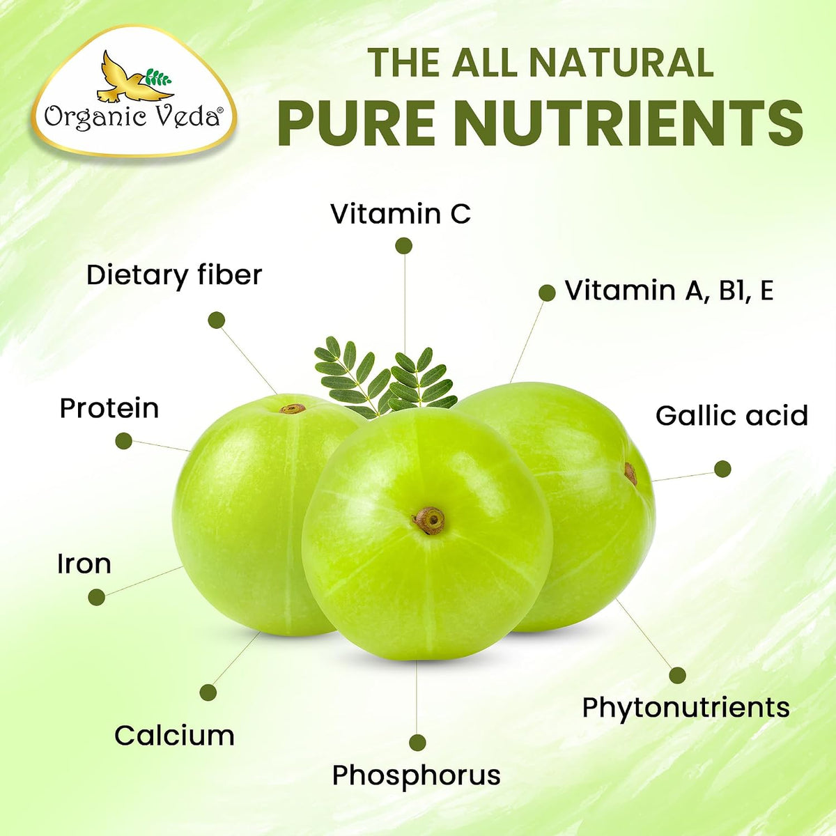 Organic Veda Amla Capsules - 1500mg, 300 Capsules - Natural Vitamin C Supplement - görsel 3