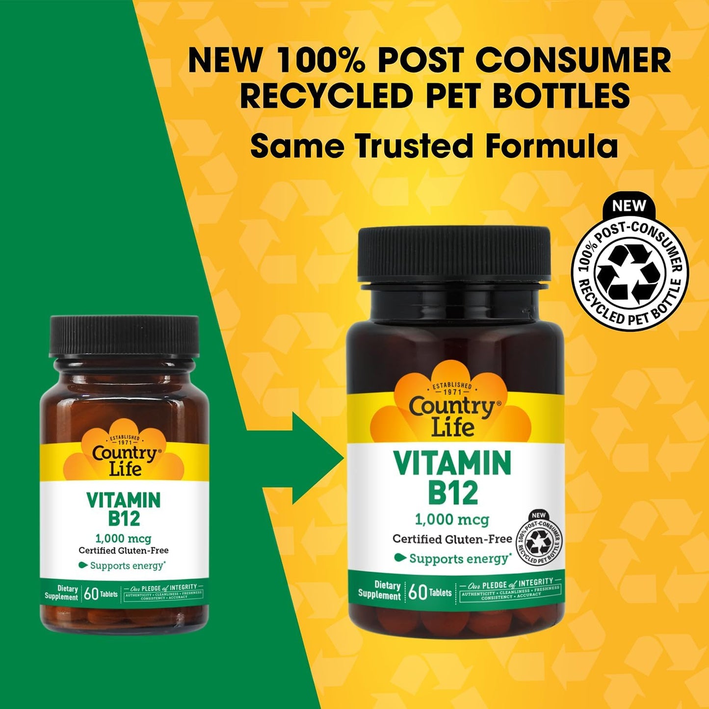 Country Life Vitamin B12 1000 mcg - Vegan & Gluten-Free Food Supplement for Energy and Brain Health - görsel 3