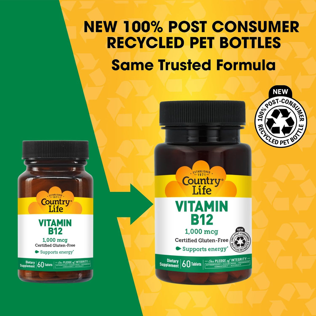 Country Life Vitamin B12 1000 mcg - Vegan & Gluten-Free Food Supplement for Energy and Brain Health - görsel 3