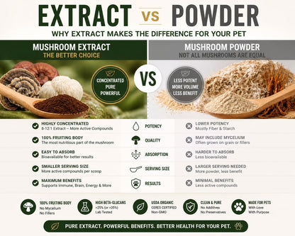 Cordyceps Mushroom Extract for Dogs & Cats – 25%+ Beta Glucans – Fruiting Body (8:1–12:1 Concentrated) – Energy, Stamina & Vitality Support – No Fillers – 250 Servings