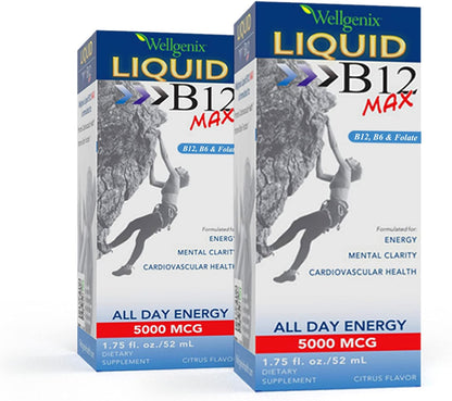 Wellgenix B12 Max Liquid - Sublingual Vitamin B12, B6 & Folic Acid Supplement (2 Pack)
