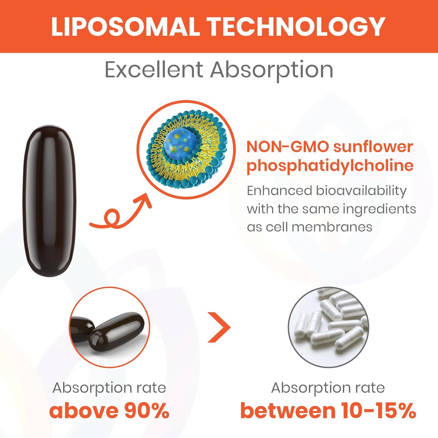 1500 mg Fisetin Supplements – Liposomal Delivery, 98% Pure, Non-GMO – 60 Softgels - görsel 3