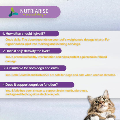 NUTRIARISE SAMe for Dogs – Liver Support with Milk Thistle for Large Breeds