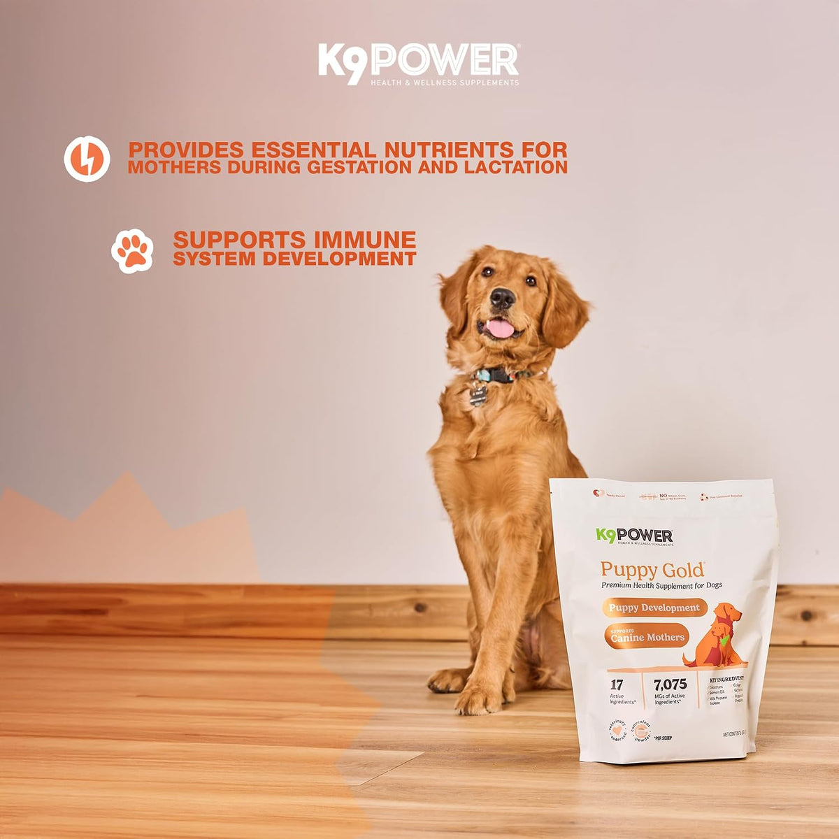 K9Power Puppy Gold 3lb – Puppy Supplement for Growth & Development – Also Supports Pregnant & Nursing Mothers – Colostrum, DHA, Glucosamine, Collagen, Probiotics, Creatine, Milk Protein, Salmon Oil - görsel 3