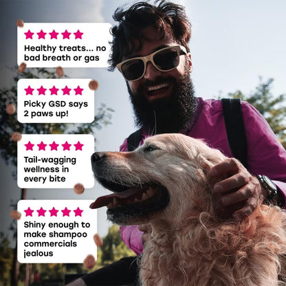 24-in-1 Dog Multivitamin Chews – Dog Vitamins & Supplements with Glucosamine, Chondroitin, Probiotics, Salmon Oil, Biotin – Daily Mobility, Digestion, Skin & Coat Support, Beef Flavour | 24-in-1 daily dog multivitamin, beef flavour, 140 soft chews