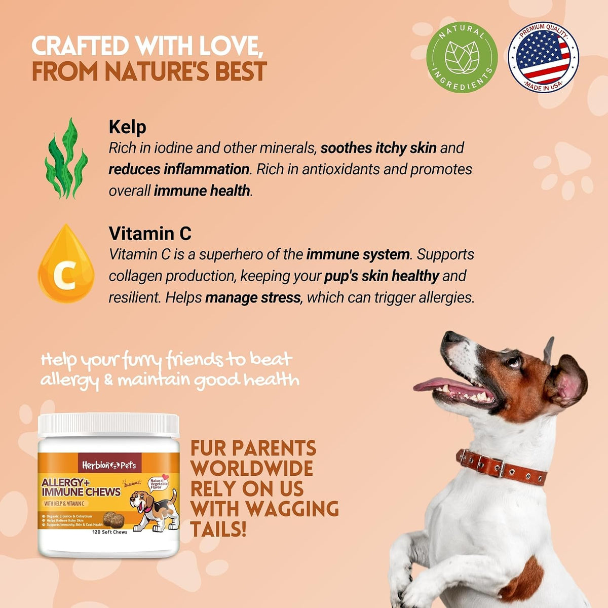 Herbion Pets Allergy + Immune Chews with Kelp & Vitamin C, 120 Soft Chews - görsel 2