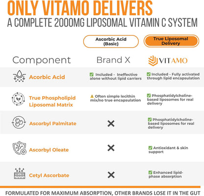 Liposomal Vitamin C 2000mg, 300 Capsules, High Absorption Ascorbic Acid