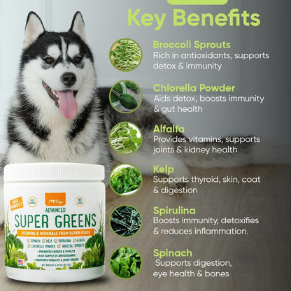 iHeartDogs Super Greens for Dogs with Broccoli Sprouts & Spirulina Powder – Seasonal Allergy & Immune Support Powder – Vitamins, Antioxidants & Minerals Supplement for Dogs