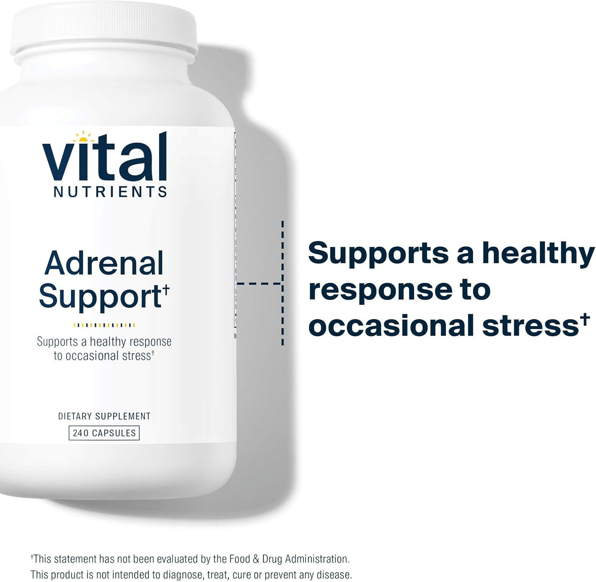 Vital Nutrients Adrenal Support – Adrenal Support Supplement for Gland Function and Cortisol Management – Supports Energy and Stress Levels – Gluten, Dairy, Soya Free – 240 Capsules - görsel 3