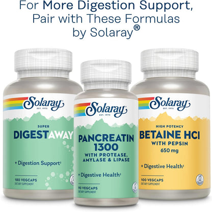 SOLARAY Mastic Gum Extract 500 mg - 45 Vegetarian Capsules - Digestive Health Support