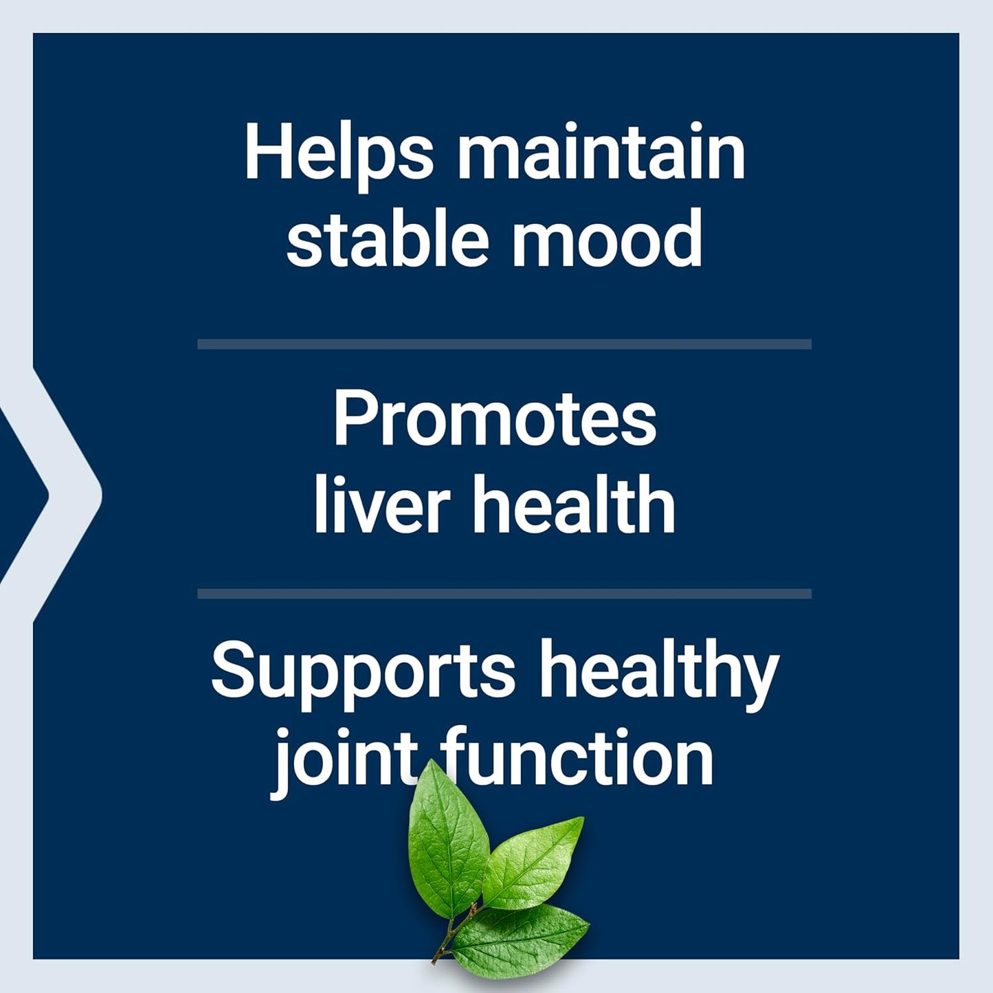 Life Extension SAMe 400 mg - S-Adenosyl-Methionine Supplement for Mood, Joint and Liver Support, 60 Enteric-Coated Tablets - görsel 4