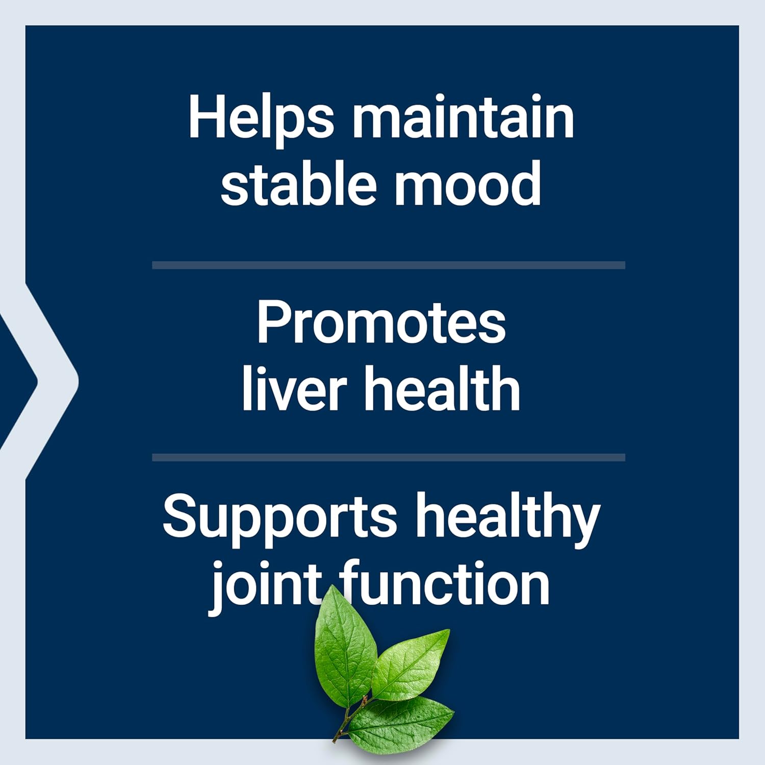 Life Extension SAMe 400 mg - S-Adenosyl-Methionine Supplement for Mood, Joint and Liver Support, 60 Enteric-Coated Tablets - görsel 4