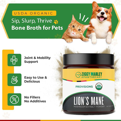 ZMA PETS Organic Lion's Mane Mushroom Powder for Dogs and Cats – Cognitive Support, USDA Organic, 45 Servings