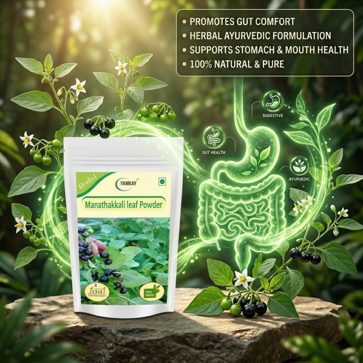 YAMKAY Organic Manathakkali Leaf Powder - Black Nightshade, Solanum Nigrum, 300g - görsel 3